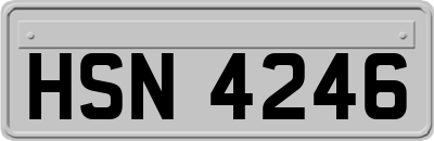 HSN4246
