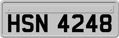 HSN4248