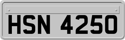 HSN4250