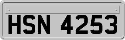 HSN4253