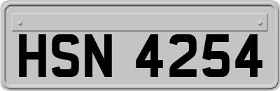HSN4254