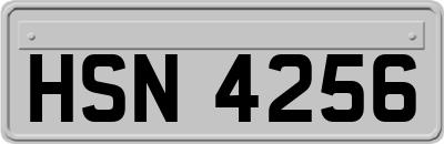 HSN4256