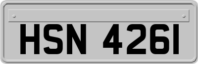 HSN4261