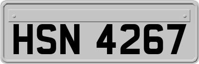 HSN4267