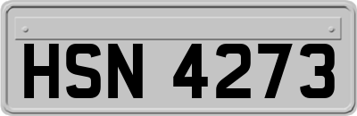 HSN4273