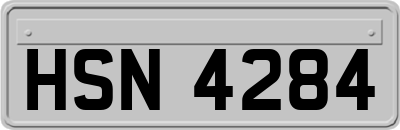 HSN4284
