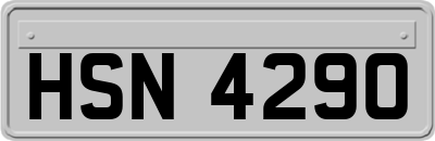 HSN4290