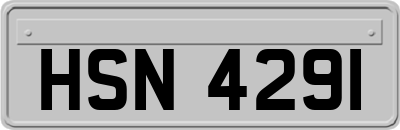HSN4291