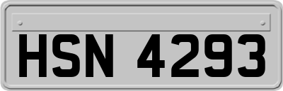 HSN4293