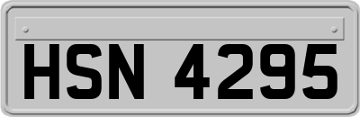 HSN4295