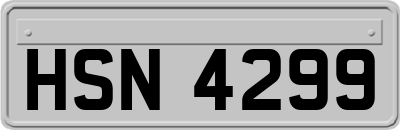 HSN4299