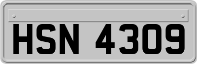 HSN4309