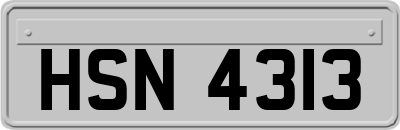 HSN4313