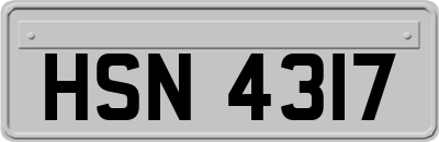 HSN4317