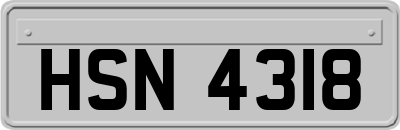 HSN4318