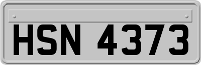 HSN4373
