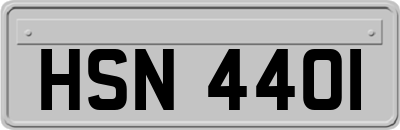 HSN4401