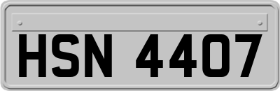 HSN4407