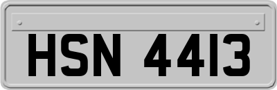 HSN4413