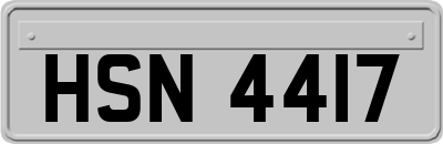HSN4417