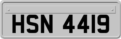HSN4419