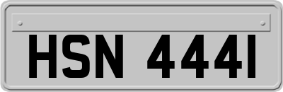HSN4441