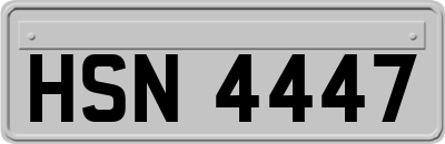 HSN4447