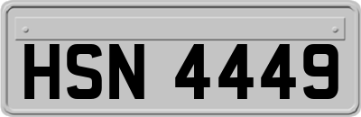 HSN4449