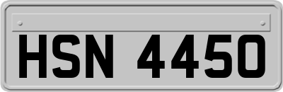 HSN4450