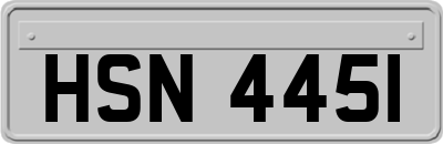 HSN4451