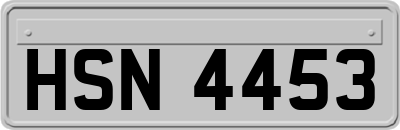 HSN4453