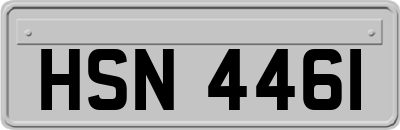 HSN4461