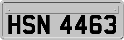 HSN4463