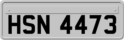 HSN4473