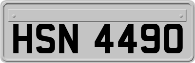HSN4490