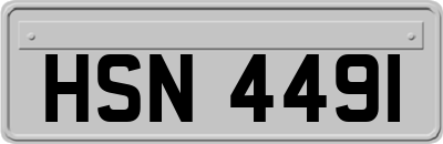 HSN4491