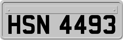 HSN4493