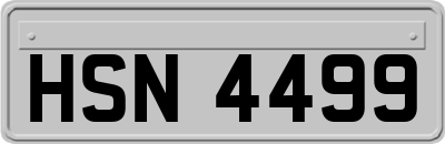 HSN4499