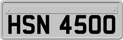HSN4500