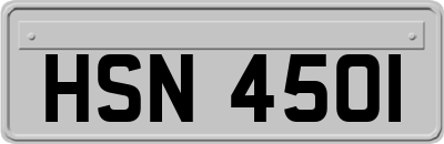HSN4501
