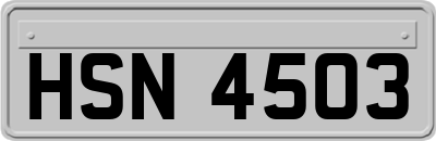 HSN4503