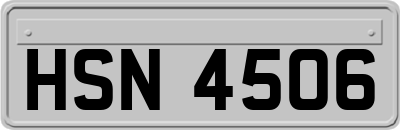 HSN4506