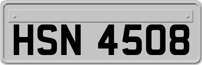 HSN4508