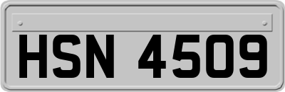 HSN4509