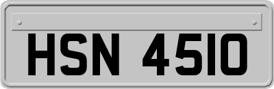 HSN4510