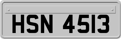 HSN4513