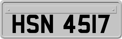 HSN4517