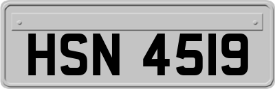 HSN4519