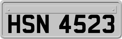 HSN4523