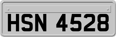 HSN4528